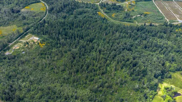 3724 Macaulay Rd, Black Creek, BC V9J 1C6