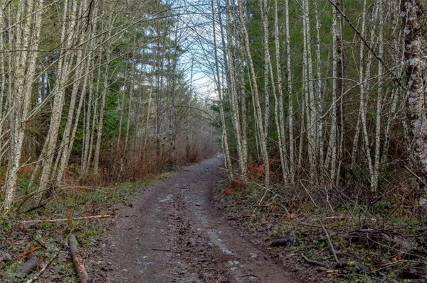 12274 Ivey Rd, Ladysmith, BC V9G 1M3