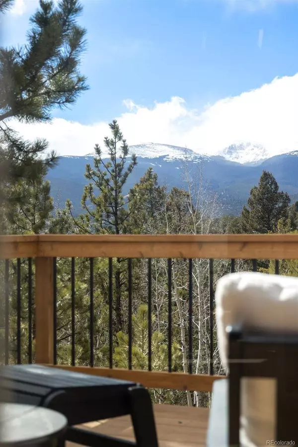 21 Gauthier RD, Bailey, CO 80421