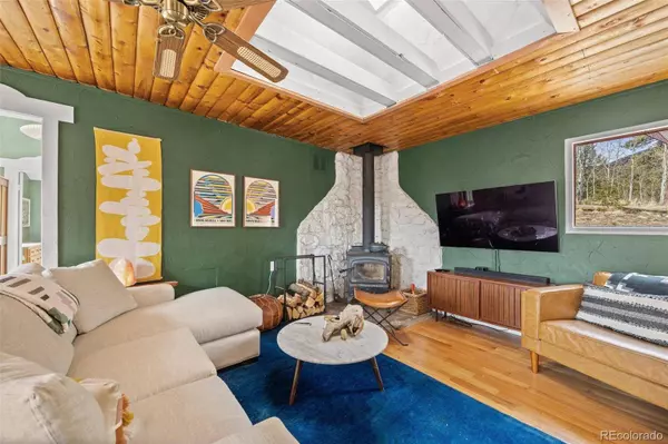 21 Gauthier RD, Bailey, CO 80421