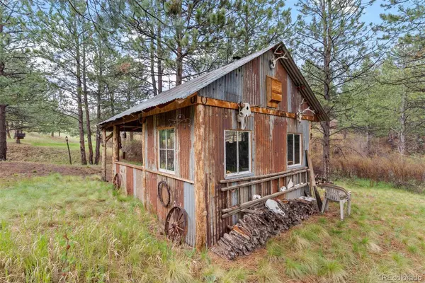 15608 Ouray RD, Pine, CO 80470