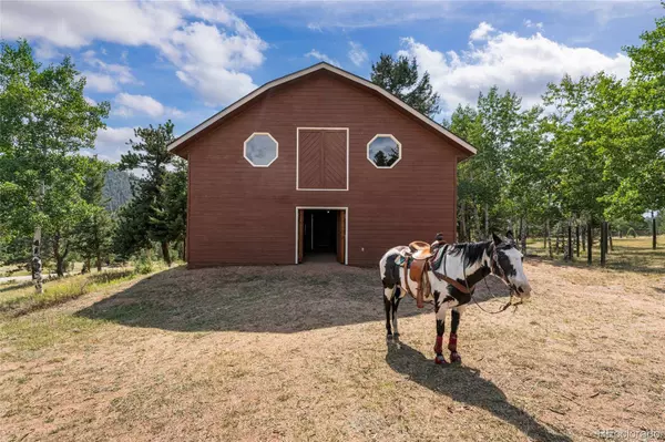 48 Allen CIR, Pine, CO 80470