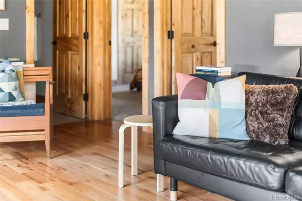 225 E Cline DR, Shawnee, CO 80475