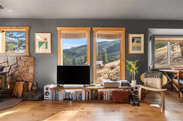 225 E Cline DR, Shawnee, CO 80475