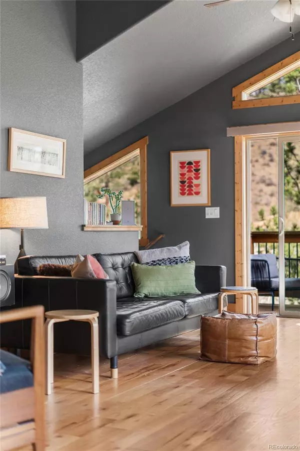 225 E Cline DR, Shawnee, CO 80475