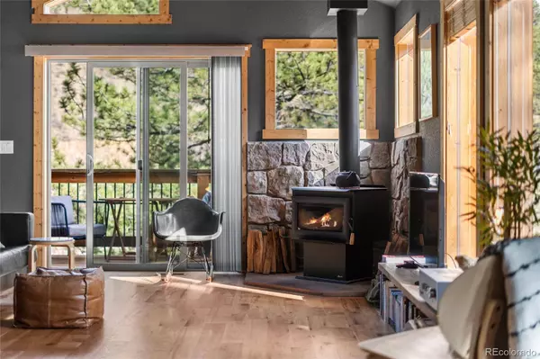 225 E Cline DR, Shawnee, CO 80475