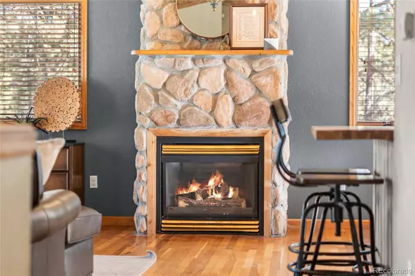 294 Kudu Trail, Bailey, CO 80421