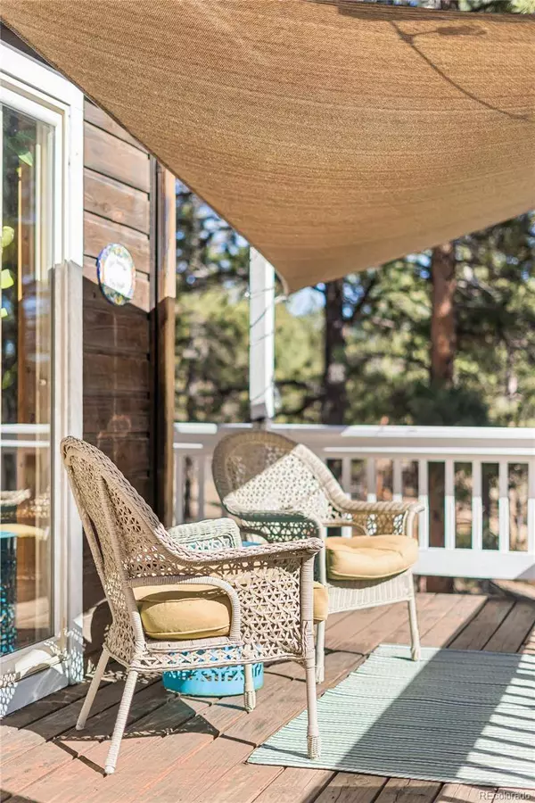 294 Kudu Trail, Bailey, CO 80421