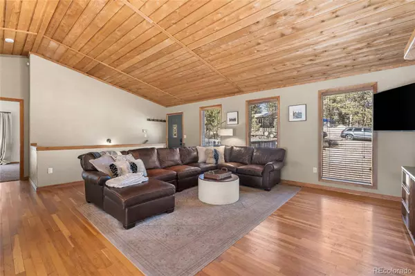 294 Kudu Trail, Bailey, CO 80421