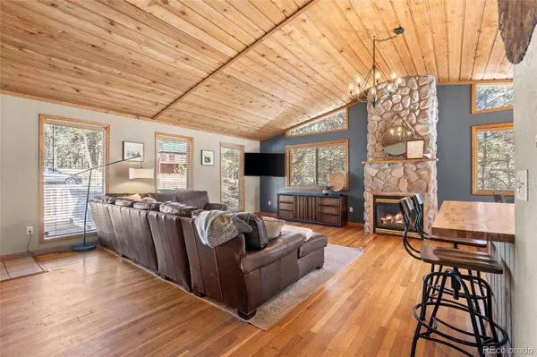 294 Kudu Trail, Bailey, CO 80421