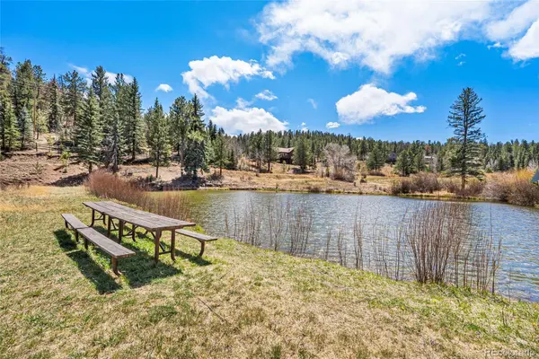 33769 Myrna CT, Pine, CO 80470