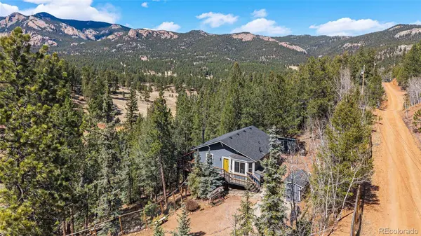 33769 Myrna CT, Pine, CO 80470