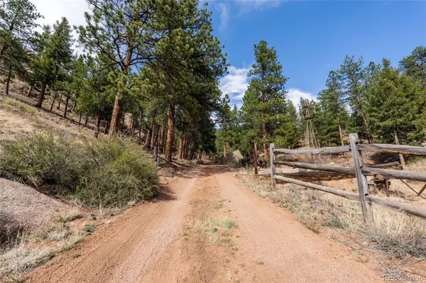 16280 Cochise TRL, Pine, CO 80470