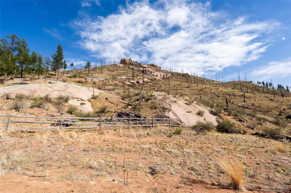 16280 Cochise TRL, Pine, CO 80470