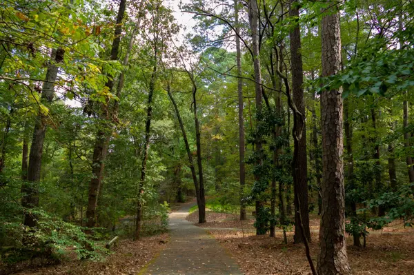 Best Walking Trails in Midlothian