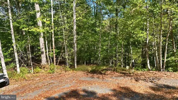 14 MECHUNK TER, Palmyra, VA 22963