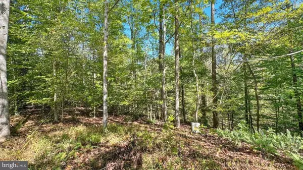 14 MECHUNK TER, Palmyra, VA 22963