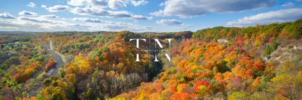 Weekend Adventures Near Hamilton: Easy Day Trips for Families & Couples,Tory Akene