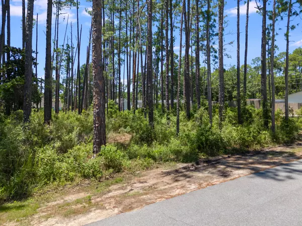 Lot 2 Lauren Ln, Santa Rosa Beach, FL 32459