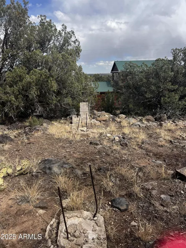 8330 Skyline Drive #59, Show Low, AZ 85901