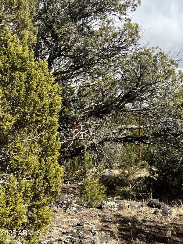 8330 Skyline Drive #59, Show Low, AZ 85901