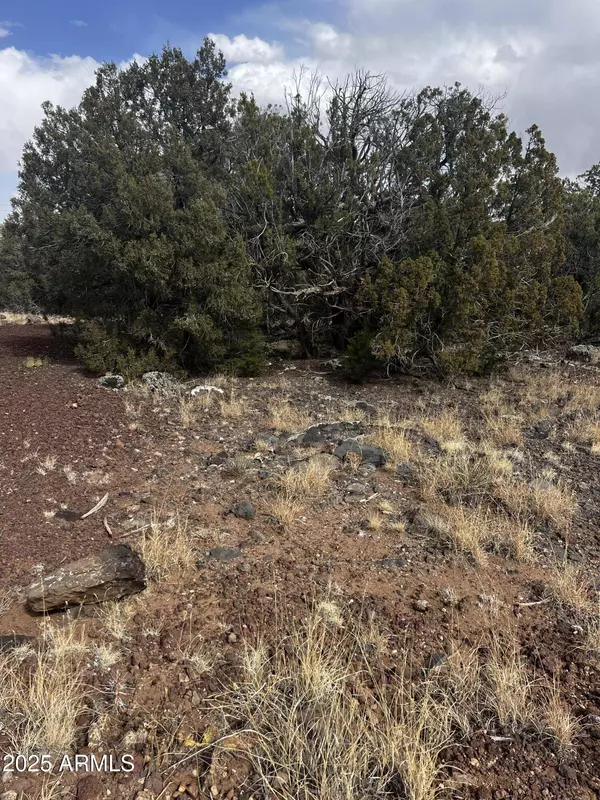 8330 Skyline Drive #59, Show Low, AZ 85901