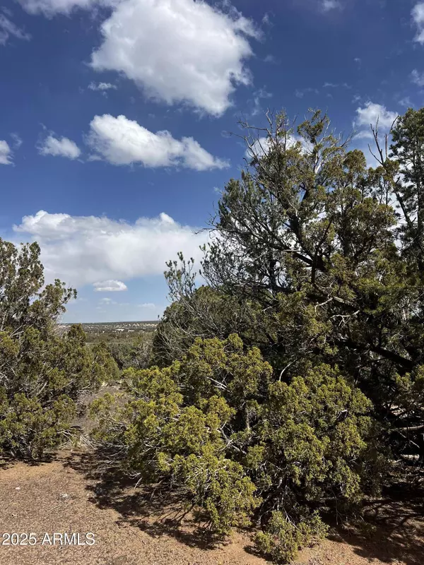 8330 Skyline Drive #59, Show Low, AZ 85901