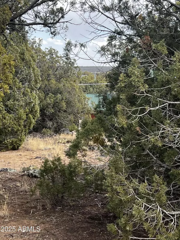 8330 Skyline Drive #59, Show Low, AZ 85901