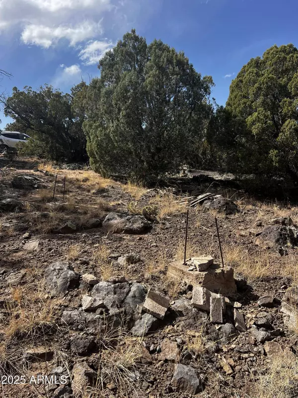 8330 Skyline Drive #59, Show Low, AZ 85901