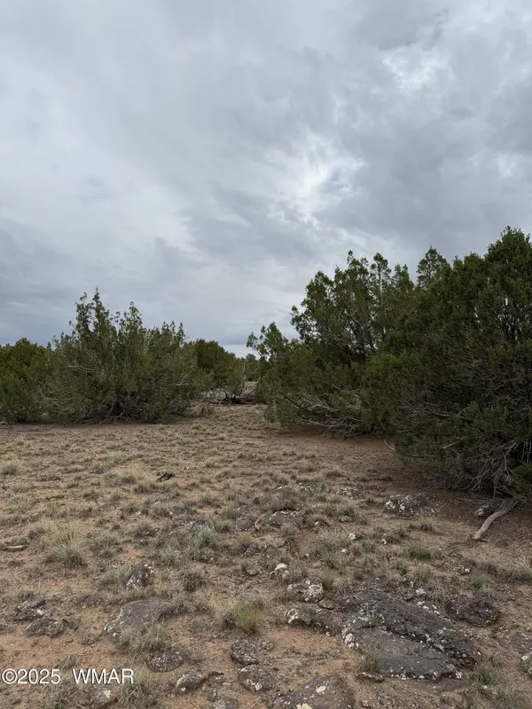 55 County Road, Concho, AZ 85924