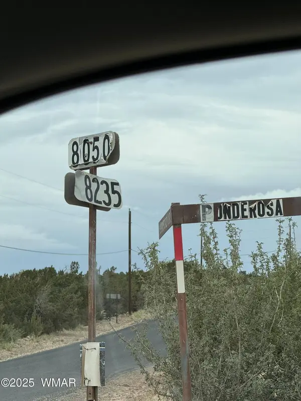 55 County Road, Concho, AZ 85924