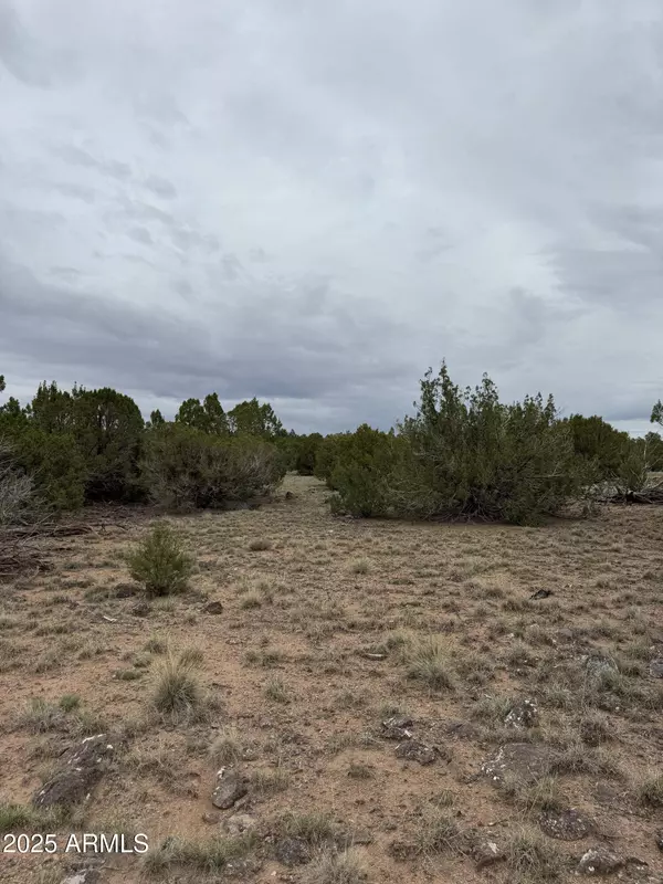 55 ACR 8050 -- #14, Concho, AZ 85924