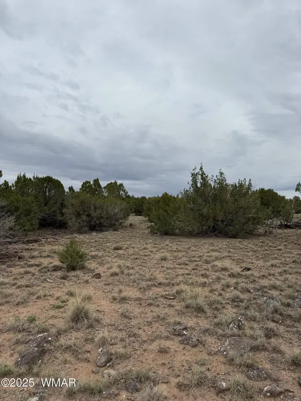 55 County Road, Concho, AZ 85924