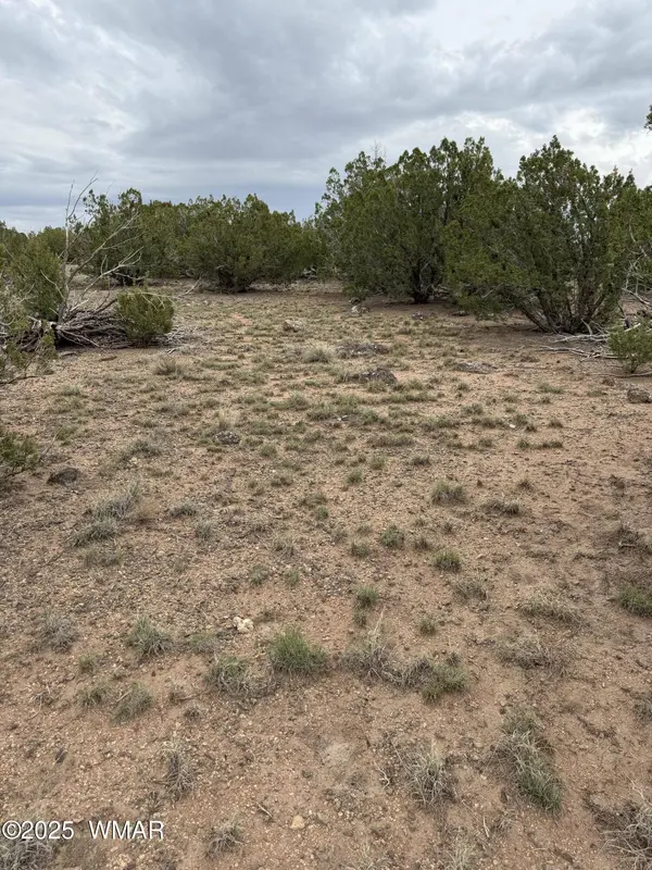55 County Road, Concho, AZ 85924