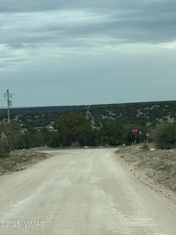 55 County Road, Concho, AZ 85924