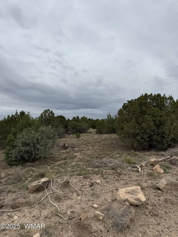 55 County Road, Concho, AZ 85924