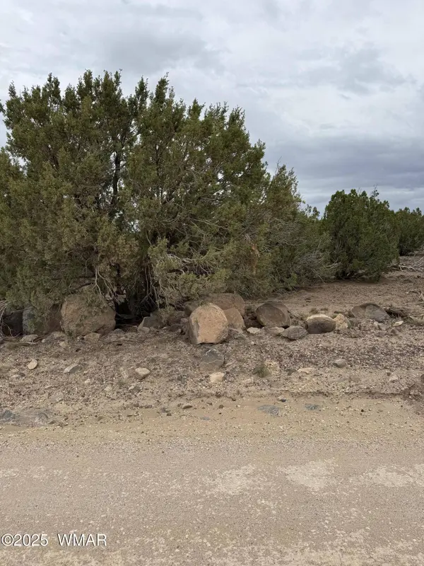 55 County Road, Concho, AZ 85924