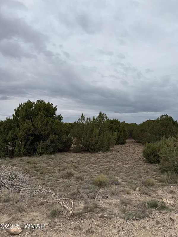 55 County Road, Concho, AZ 85924