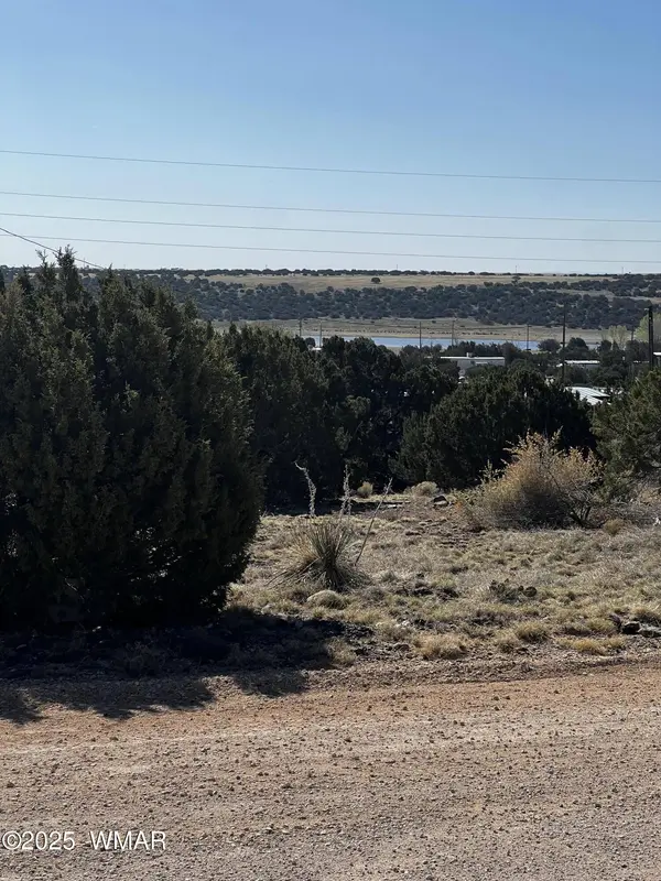 58 Short Lane, Concho, AZ 85924
