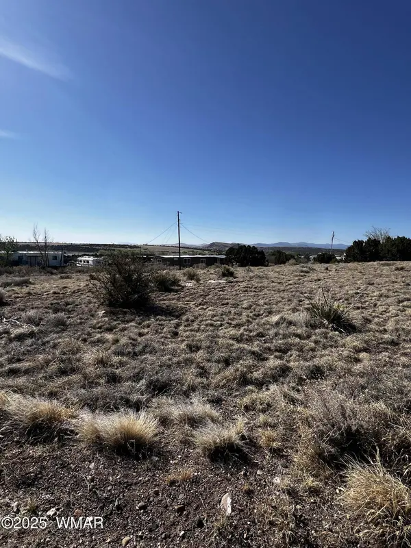 58 Short Lane, Concho, AZ 85924