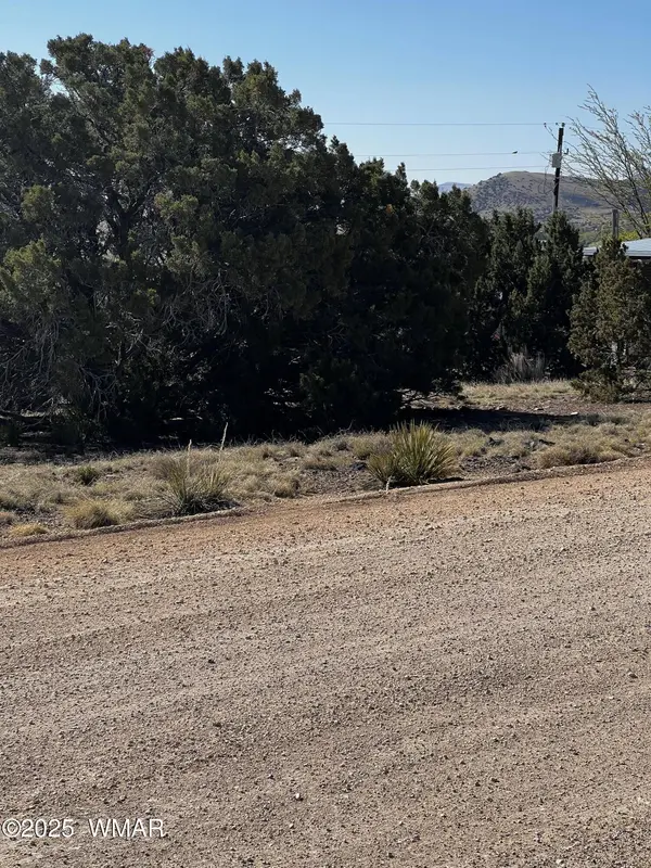 58 Short Lane, Concho, AZ 85924
