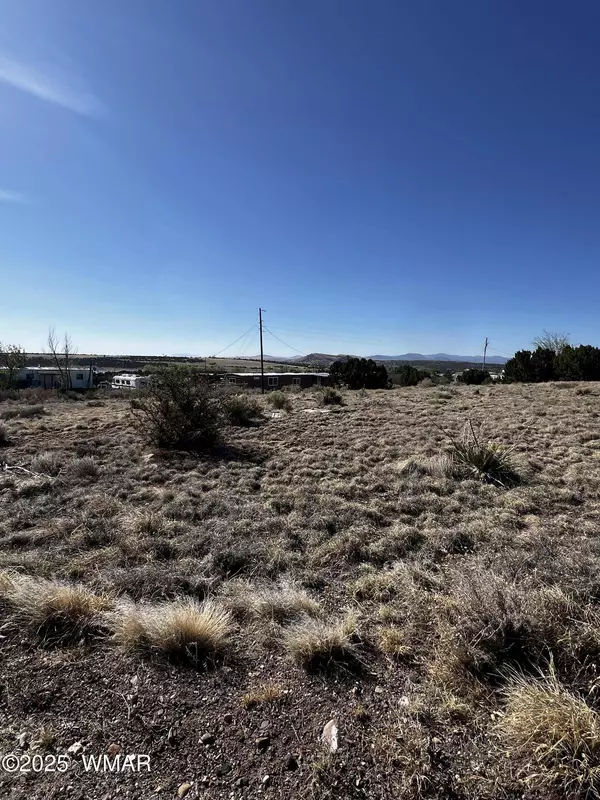60 Short Lane, Concho, AZ 85924