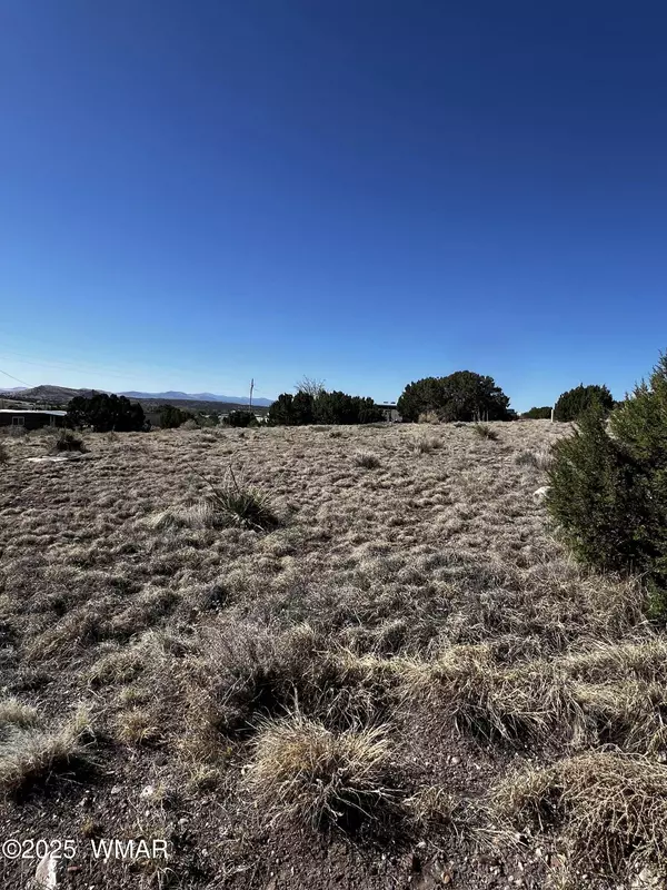 60 Short Lane, Concho, AZ 85924