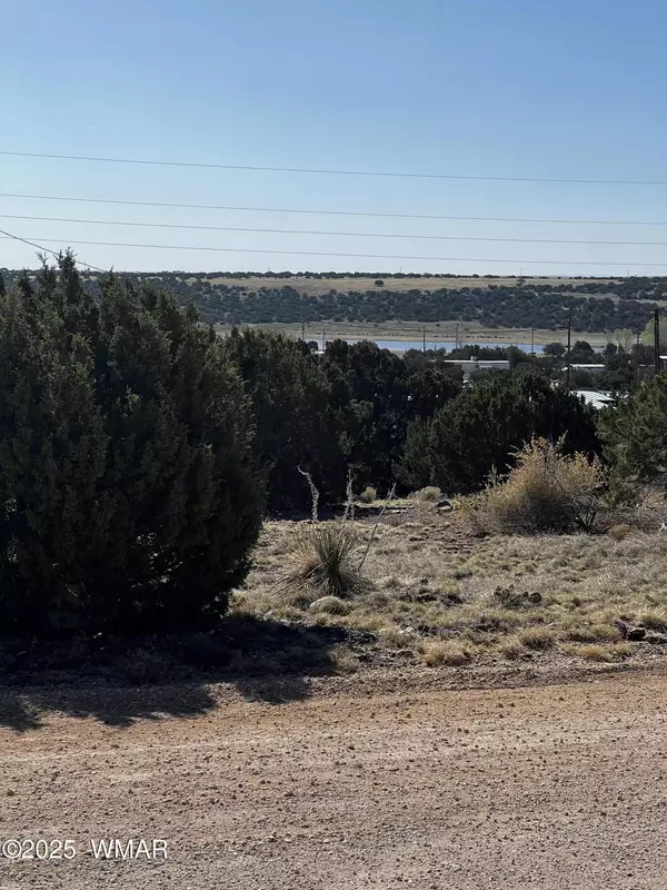60 Short Lane, Concho, AZ 85924