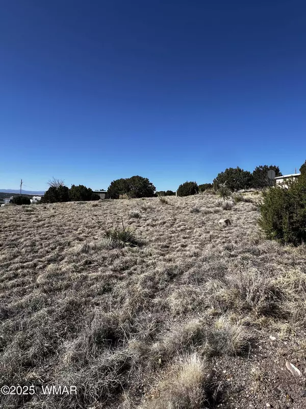 60 Short Lane, Concho, AZ 85924