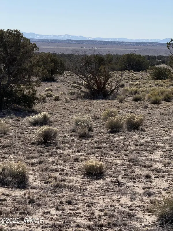 N6549, St. Johns, AZ 85936