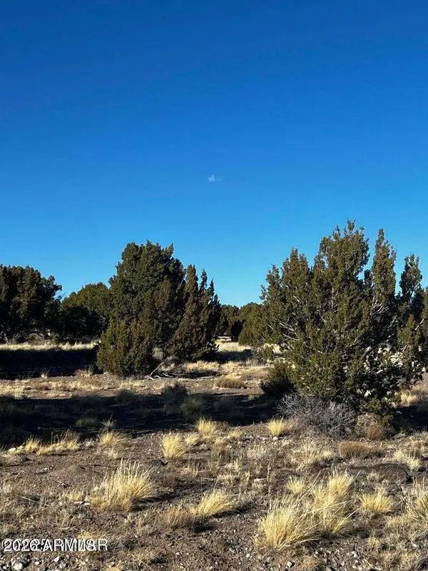 0 8626 -- #38, Concho, AZ 85924