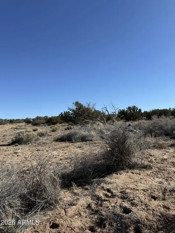 1 N6549 -- #794, St Johns, AZ 85936