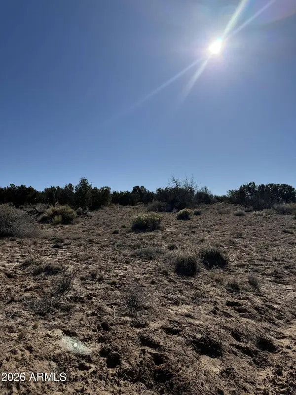 1 N6549 -- #794, St Johns, AZ 85936