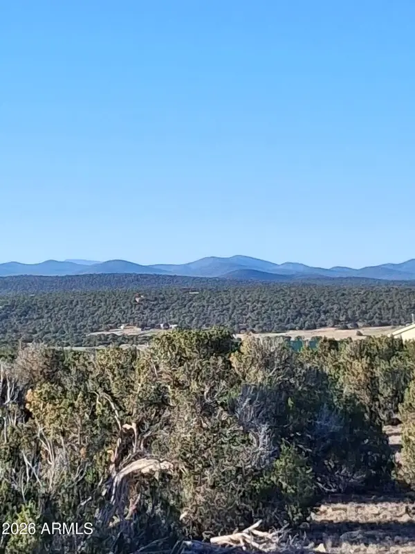 690 CR 8235 Drive, Concho, AZ 85924